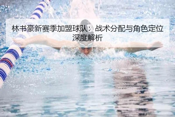 林书豪新赛季加盟球队:战术分配与角色定位深度解析
